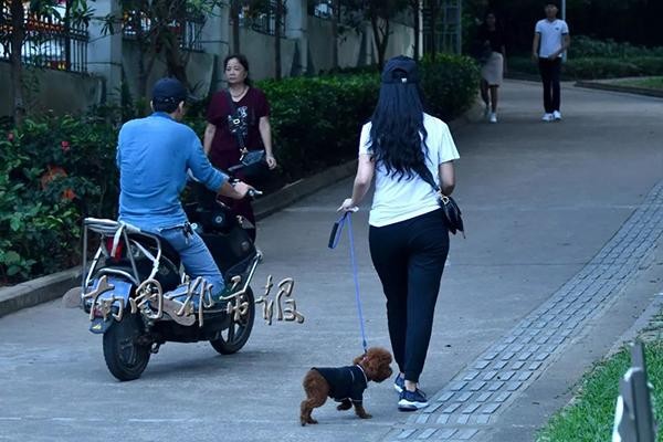 海口5岁男童被大型犬狂追吓哭犬主：狗不咬人孩子跑才追