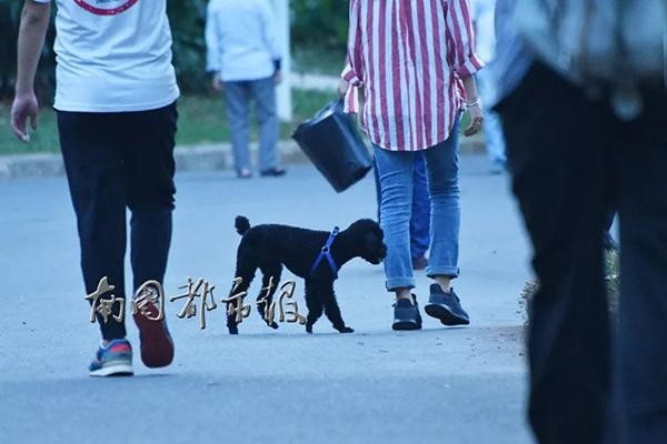 海口5岁男童被大型犬狂追吓哭犬主：狗不咬人孩子跑才追