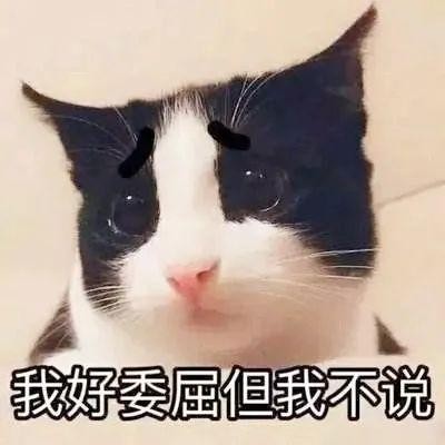 周震南被猫咬！！原来不是所有的猫咪都温顺...